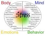 Stress and Anxiety Relief Attunement Package