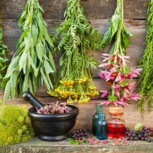 Herbalism Home Study Course 1