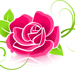 The Celestial Rose Empowerment – Spiritual Blessings from the Divine Mother