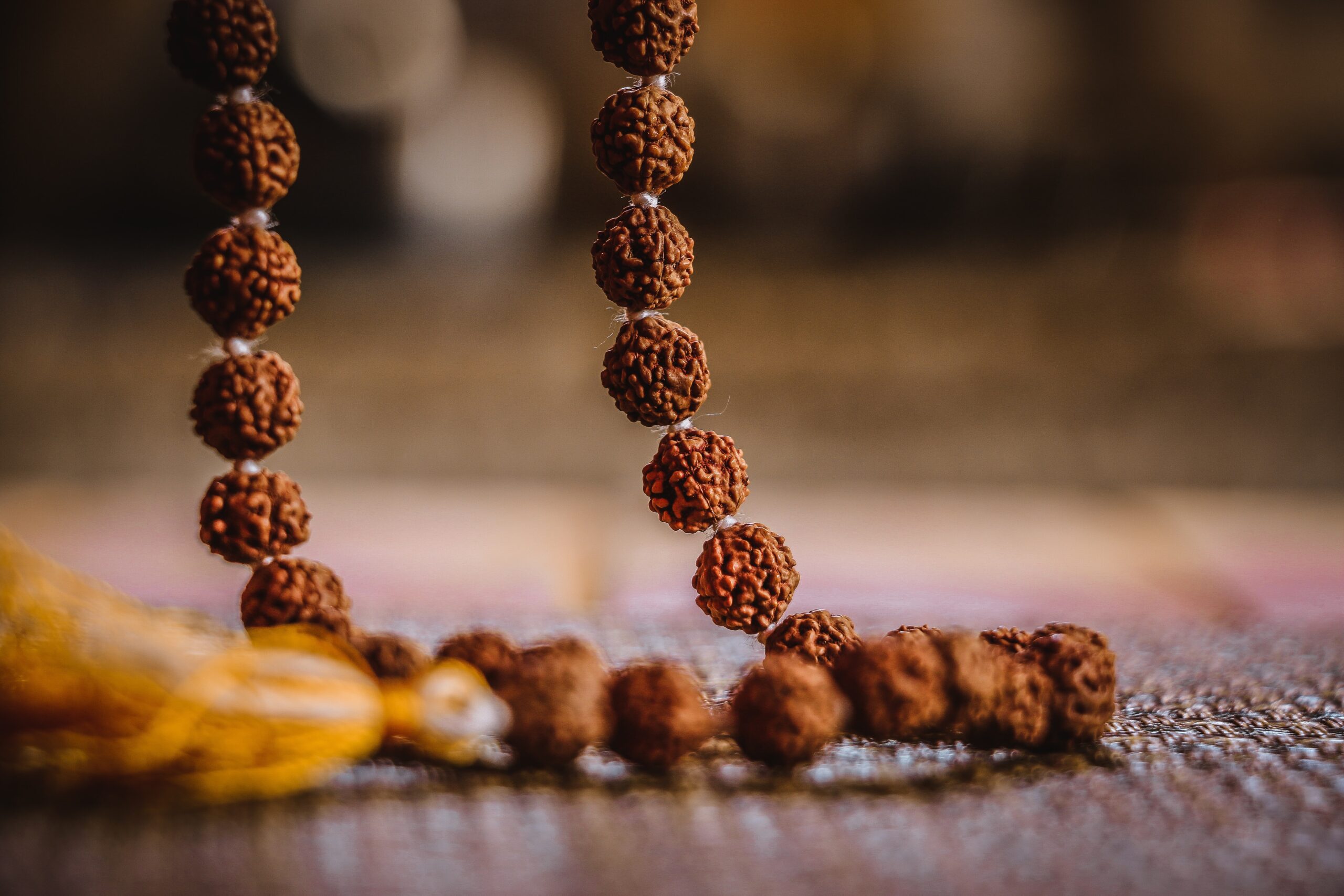 The Holy Rudraksha – Your Karmas are the Seed of your Future