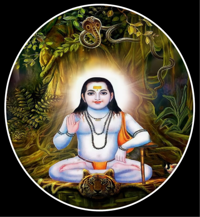 Blessings of Baba Balak Nath Ji – Miraculous Healing & Spiritual Progression