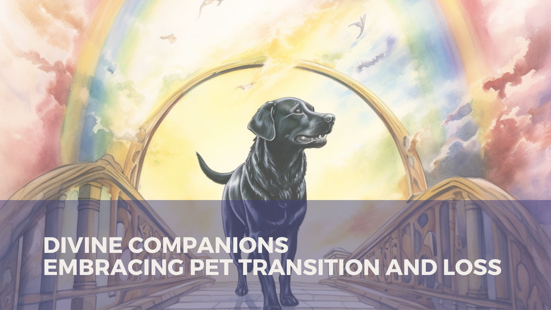 Divine Companions – Embracing Pet Transition and Loss